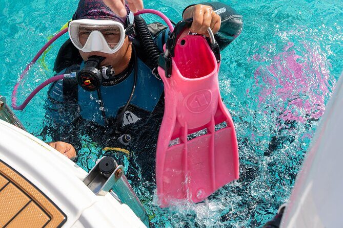 Concierge Two Tank Boat Dive in Bonaire (4 Divers) - Final Thoughts