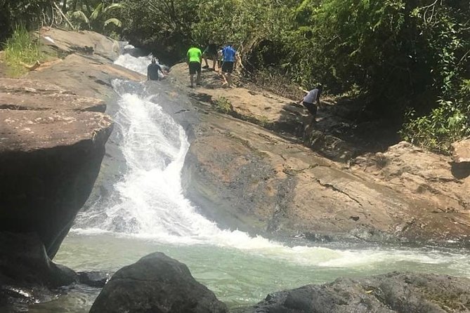 Concrete Jungle to the Actual Jungle, The Complete Package Tour - Whats Included in the Package
