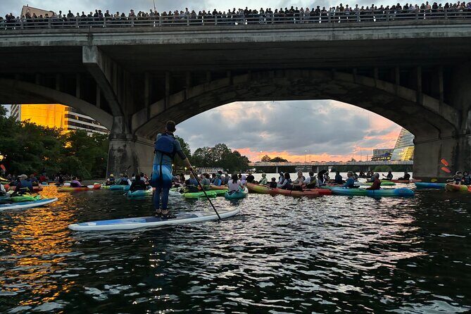 Congress Avenue Bat Bridge Paddleboard Tour - Introducing the Congress Avenue Bat Bridge Paddleboard Tour