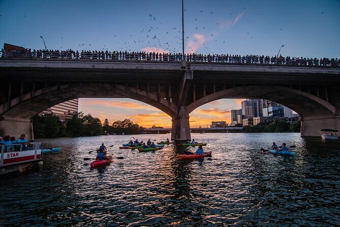 Congress Bridge Kayaking Bat Tour - An In-Depth Look at the Congress Bridge Kayaking Bat Tour