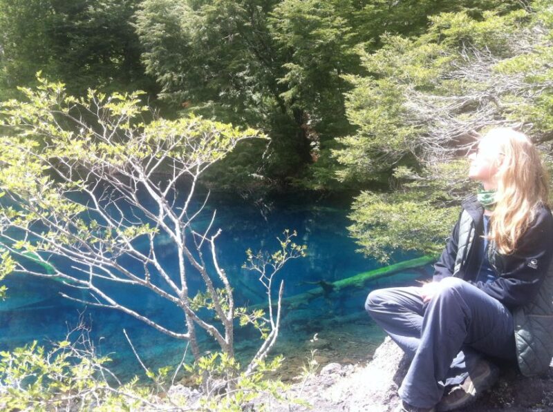 Conguillío National Park Tour - Full Day - Transportation Details