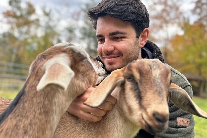 Connect with Rescue Animals on a Private Farm Tour in Catskills - Practical Details and Tips