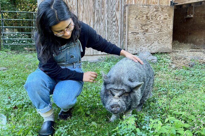 Connect with Rescue Animals on a Private Farm Tour in Catskills - FAQ