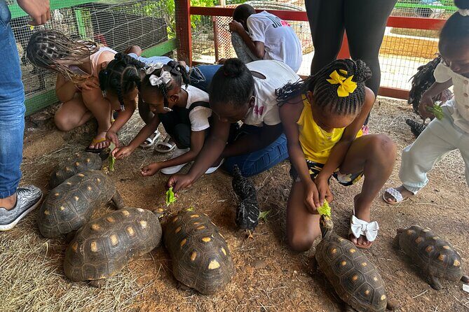 Connors Farms Petting Zoo - What to Expect from Your Visit  