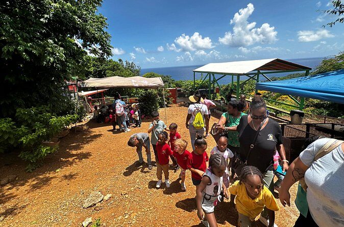 Connors Farms Petting Zoo - Authenticity and Value  