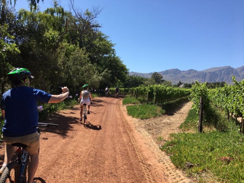 Constantia: Winelands Private Bike Tour - Itinerary Highlights