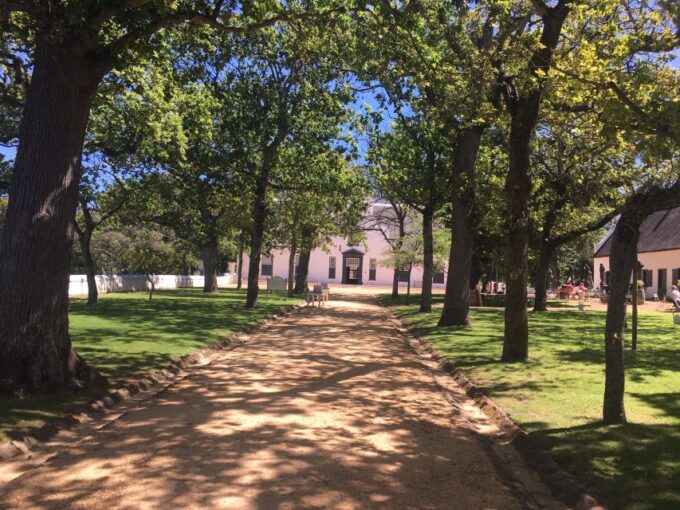 Constantia: Winelands Private Bike Tour - Positive Customer Feedback