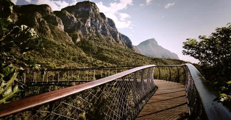 Constantia Wineries & Kirstenbosch Gardens Private Day Tour - Good To Know