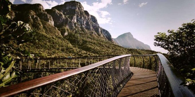 Constantia Wineries & Kirstenbosch Gardens Private Day Tour - Two Oceans Aquarium
