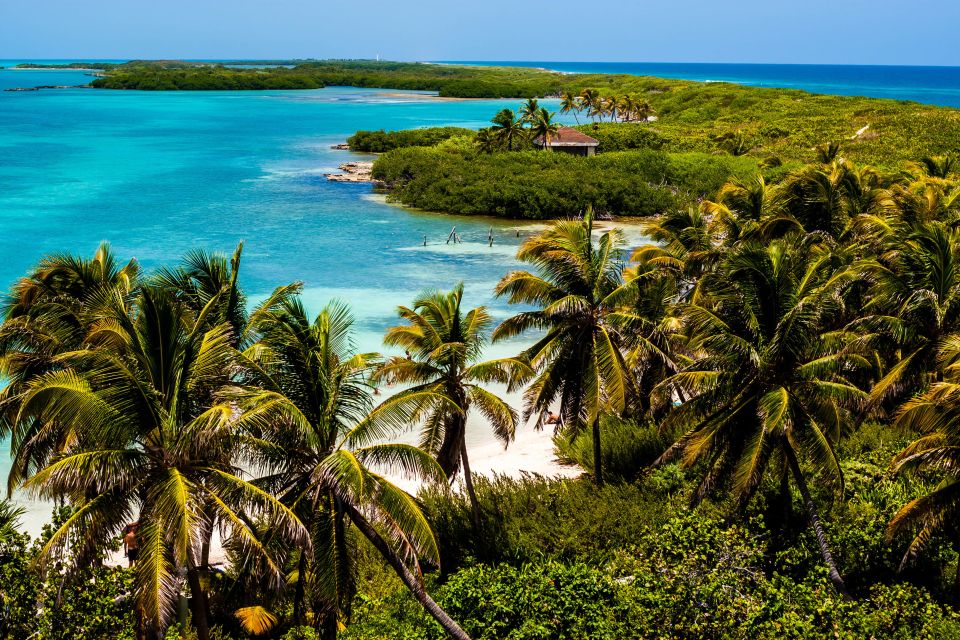 Contoy and Mujeres Islands Tour With Transfer Options - Key Points