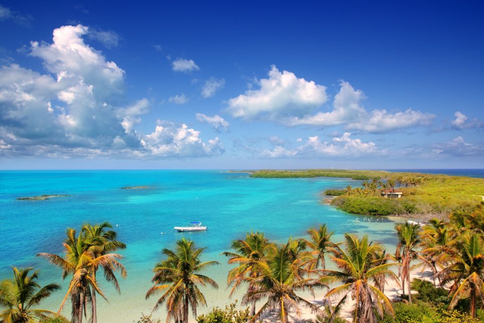 Contoy and Mujeres Islands Tour With Transfer Options - Key Highlights