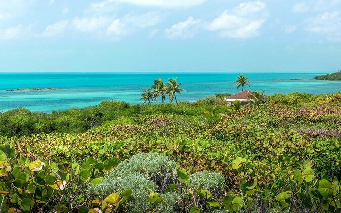 Contoy Caribbean Adventure! Round Transportation from Cancun - Key Points