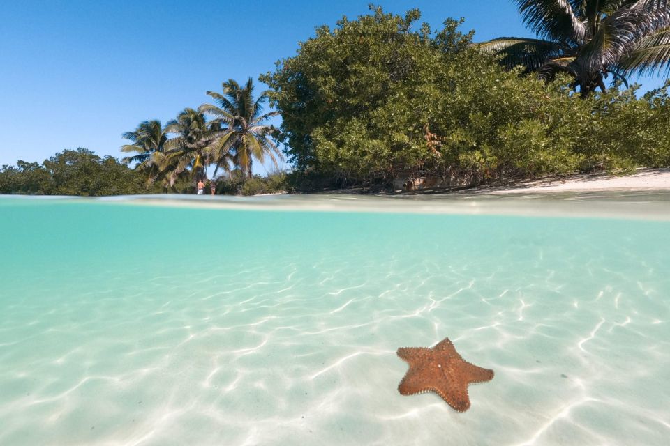 Contoy Island - Frequently Asked Questions