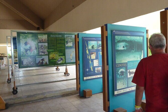 Contoy Island Tour from Cancun and Isla Mujeres with Snorkeling - The Experience from a Traveler’s Perspective