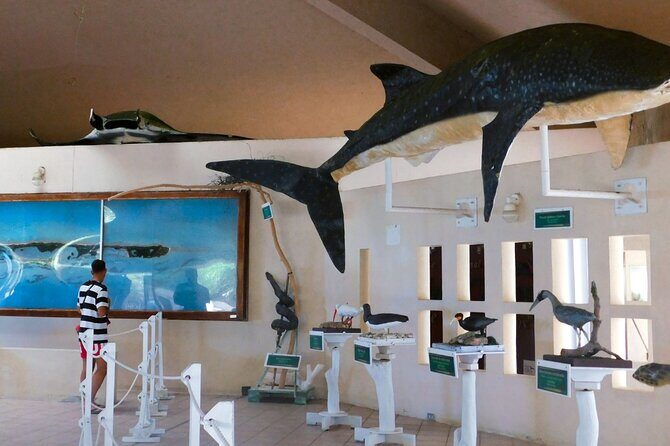 Contoy Island Tour from Cancun and Isla Mujeres with Snorkeling - The Sum Up: Why This Tour Is a Solid Choice