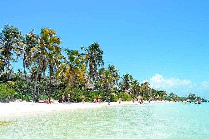 Contoy Island Tour from Playa del Carmen & Cancun - What Makes This Tour Stand Out?