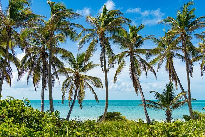 Contoy Island Tour with Untouched Paradise and Beach Day - What’s Included and What’s Not