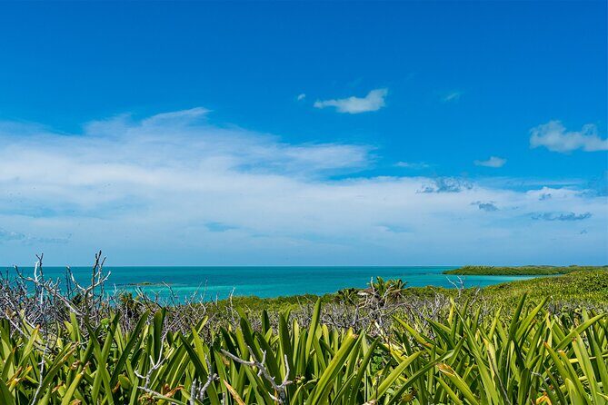 Contoy Island Tour with Untouched Paradise and Beach Day - Who Should Consider This Tour?