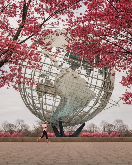 Contrasts of New York Tour - The Bronx Attractions