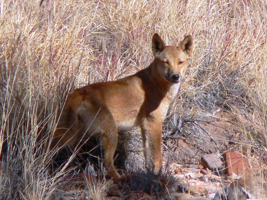 Coober Pedy: 7-Day Lake Eyre & Flinders Ranges 4WD Tour - Recap