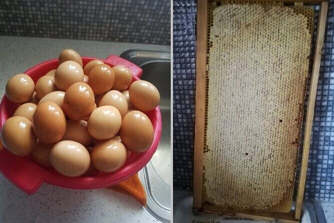 Cooking Class at Alexandras Farm in Ypati Thermal Springs - Exploring the Cooking Class at Alexandras Farm in Ypati Thermal Springs