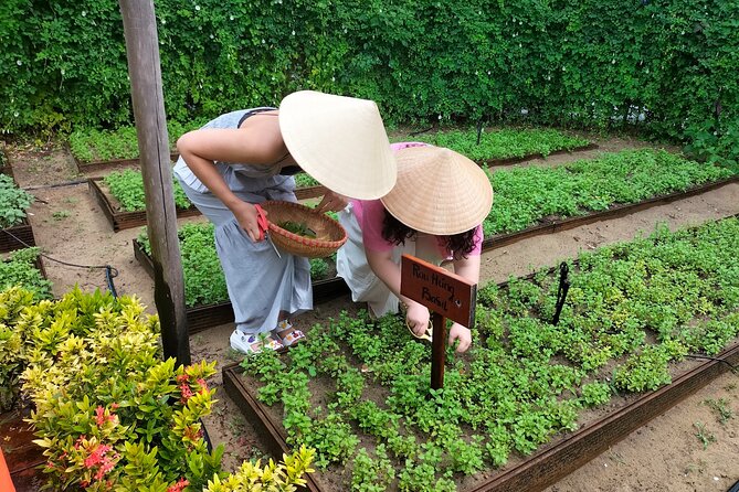 Cooking Class Hoi An - Organic Garden - Farming Tour - Folk Games and Ingredient Challenge
