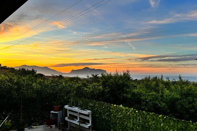 Cooking class in a villa with Palermo view - Who Should Book This Experience?