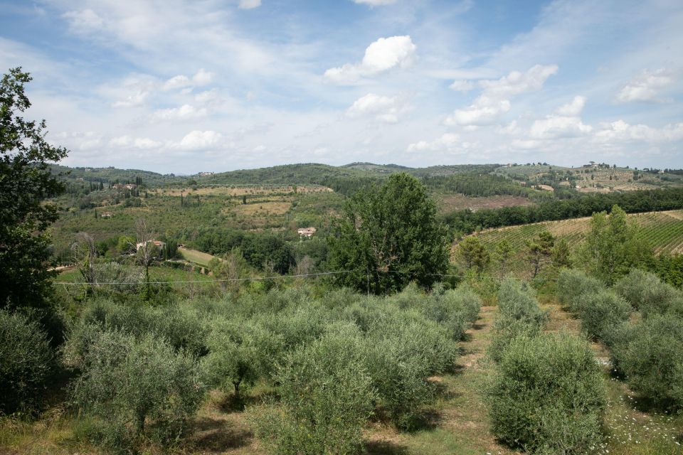 Cooking Class on the Terrace at Fattoria Del Chianti With Lunch - Inclusions of the Experience