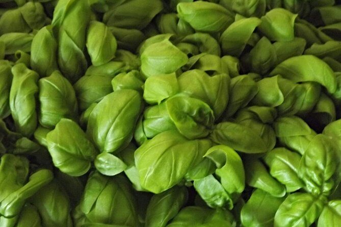 Cooking Class Pesto Sauce - Key Points