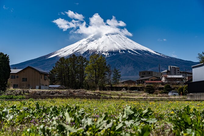 Cooking Hoto Udon Noodle Tour in Mt.Fuji Area From Tokyo - Additional Information