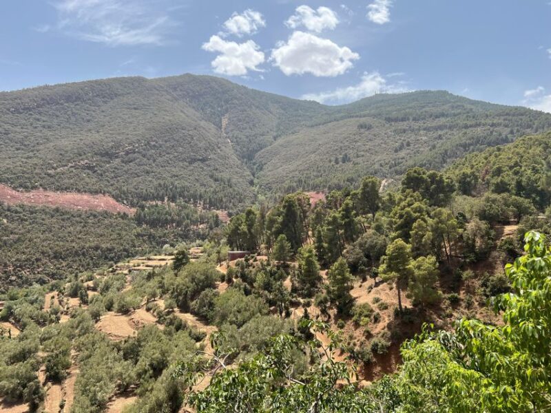 Cooking in the Mountains: A Culinary Adventure in Imlil - Discovering Moroccan Culinary Traditions