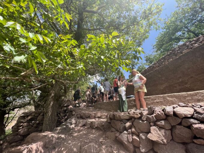 Cooking in the Mountains: A Culinary Adventure in Imlil - Frequently Asked Questions