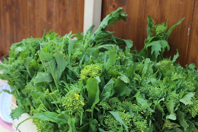 COOKING LESSON IN MASSERIA with transfer from Alberobello - A Closer Look at the Experience