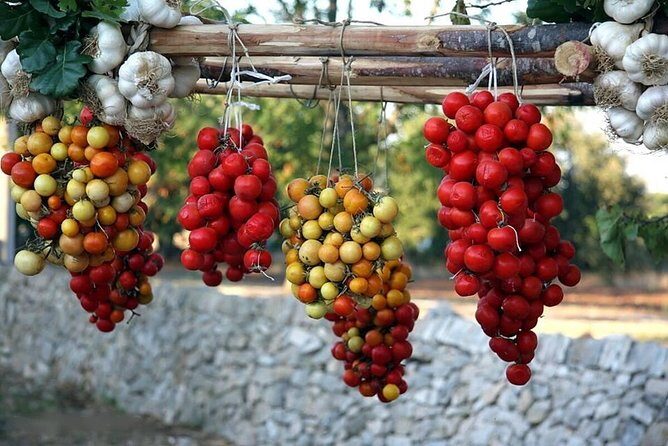 COOKING LESSON IN MASSERIA with transfer from Alberobello - Who Will Love This Tour?