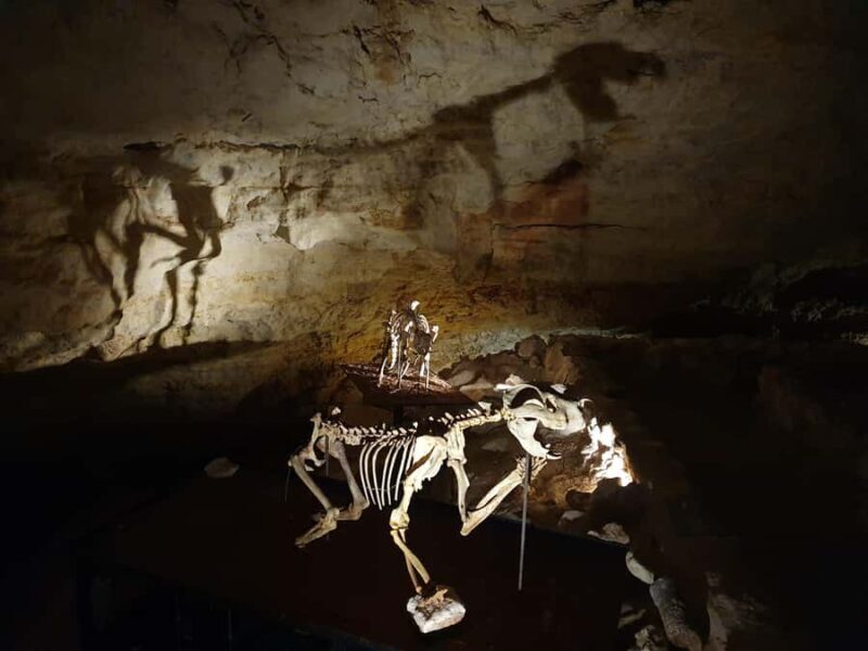 Coonawarra: Caves, Cabernet, & Kangaroos Day Tour & Lunch - FAQ