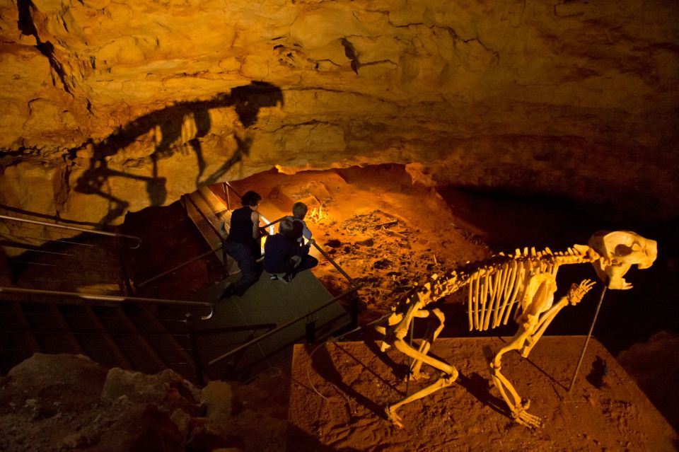 Coonawarra: Caves, Cabernet, & Kangaroos Day Tour & Lunch - Activities Included