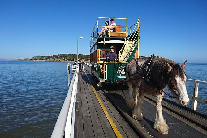 Coorong 3 & 1/2 Lunch Cruise and Tour - The Sum Up