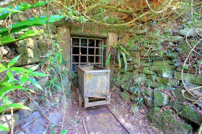 Copeland Tops National Park: Mountain Maid Gold Mine Tour - Introduction