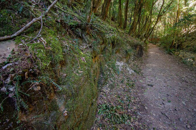 Copeland Tops National Park: Mountain Maid Gold Mine Tour - Key Points  