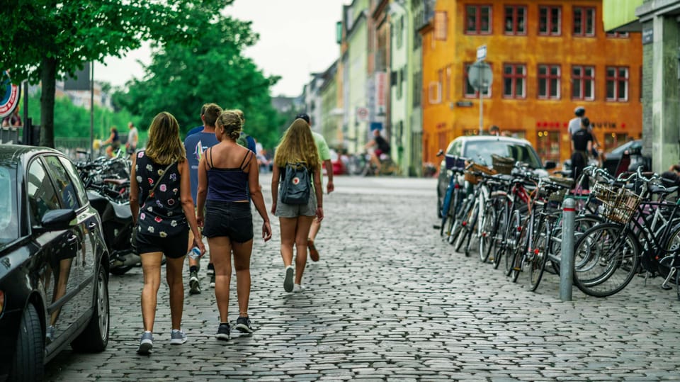 Copenhagen: 1.5-hour Private Walking Tour of Christianshavn - Who Should Book This Tour?