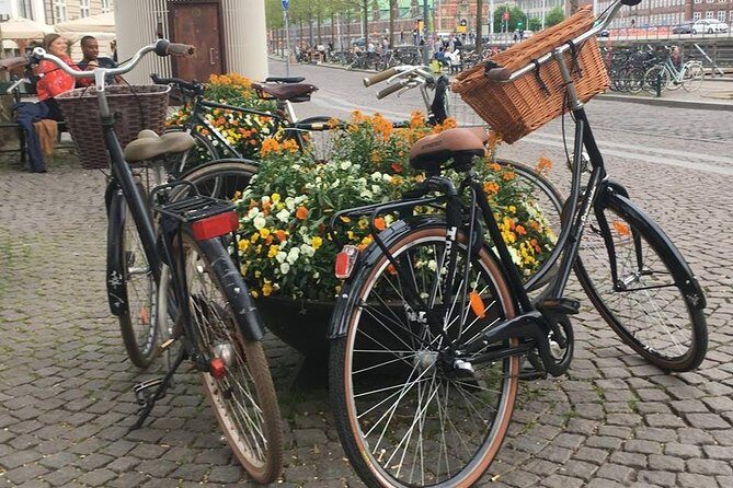 Copenhagen Bicycle Adventure - Why Choose the Copenhagen Bicycle Adventure?