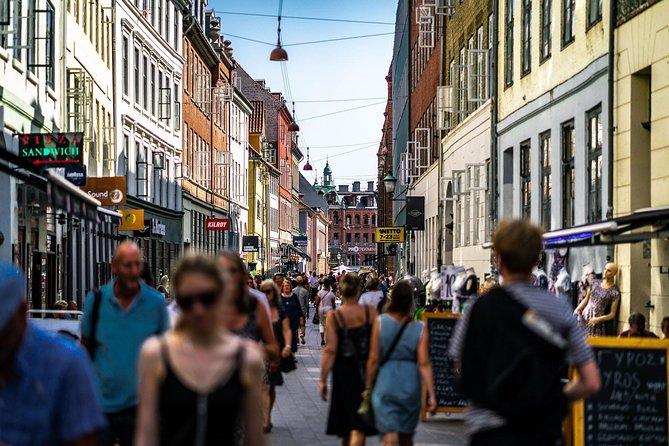 Copenhagen City Private Walking Tour - Tour Details