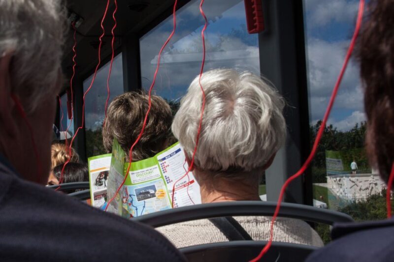 Copenhagen: Hop-On Hop-Off Bus Tour with Audio Guide - Key Points