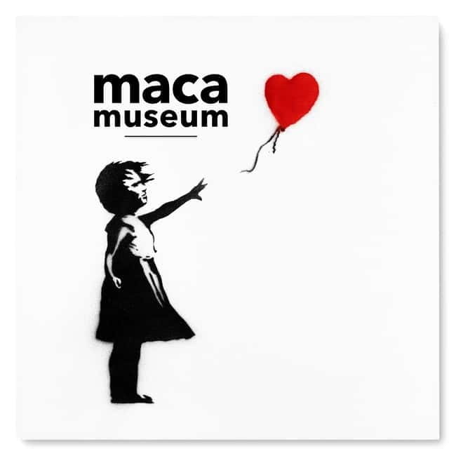 Copenhagen: MACA Art Museum Entry Ticket - What to Expect Inside