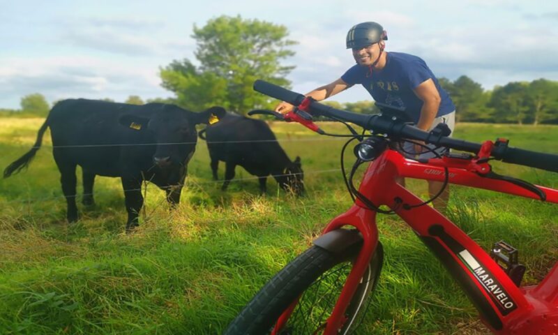 Copenhagen: Private Forgotten Giants E-Bike Treasure Hunt - Group Options and Language Availability