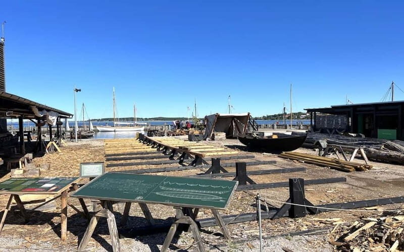 Copenhagen: Roskilde, the Viking City Tour in English - Key Points