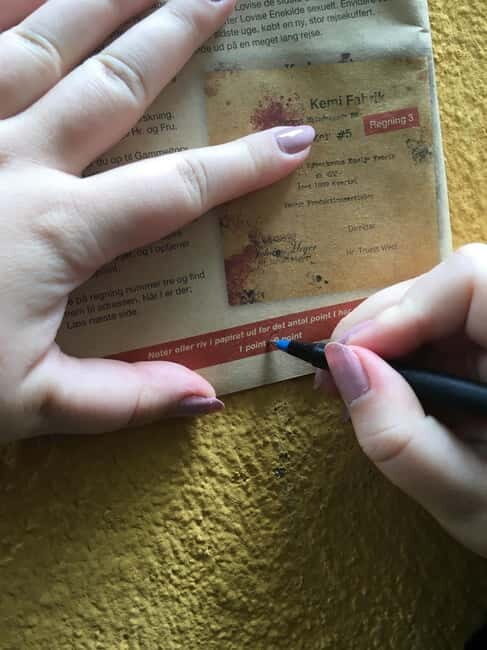Copenhagen: True Crime Murder Mystery Walking Tour - The Sum Up
