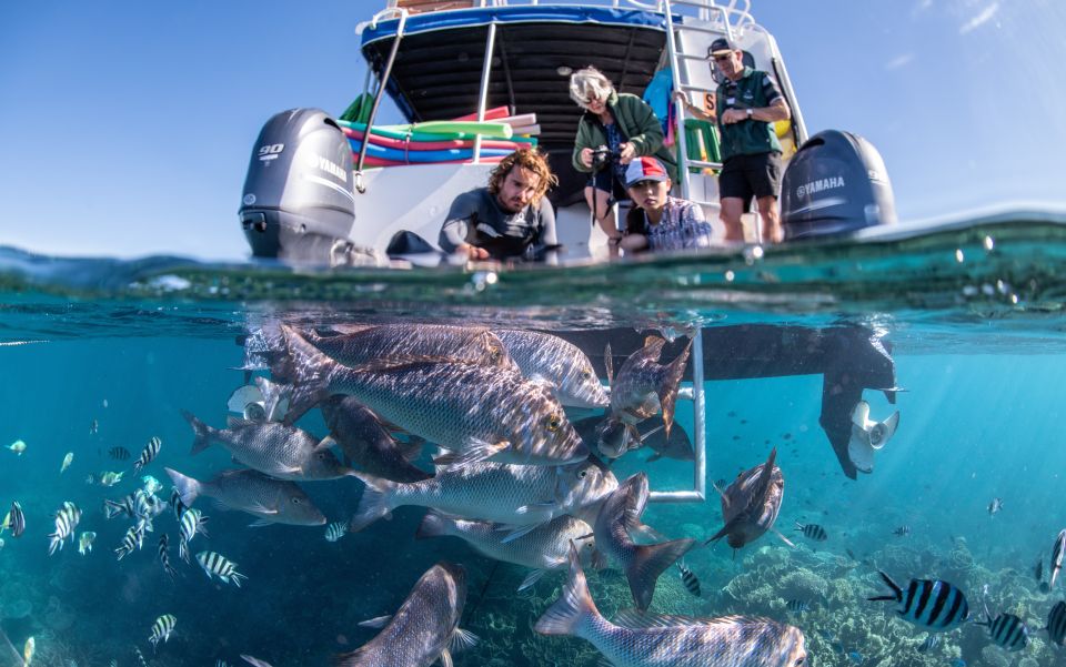 Coral Bay: 2-Hour Coral Viewing and Snorkeling - Description