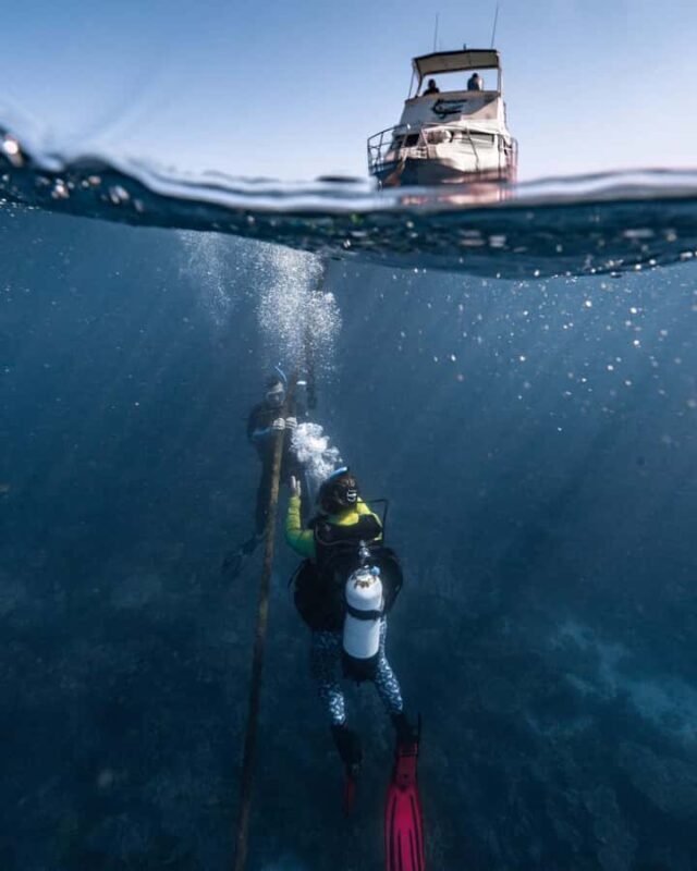 Coral Bay: Full Day Ningaloo Reef with Manta Rays Tour - FAQ