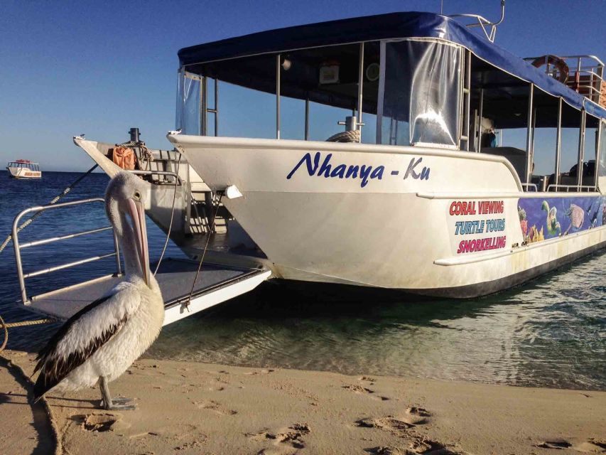 Coral Bay Glass-Bottom Boat Tour - Tour Details